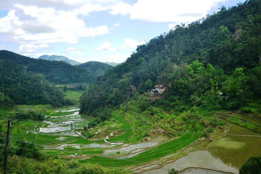 Banaue Greenfields Inn מראה חיצוני תמונה